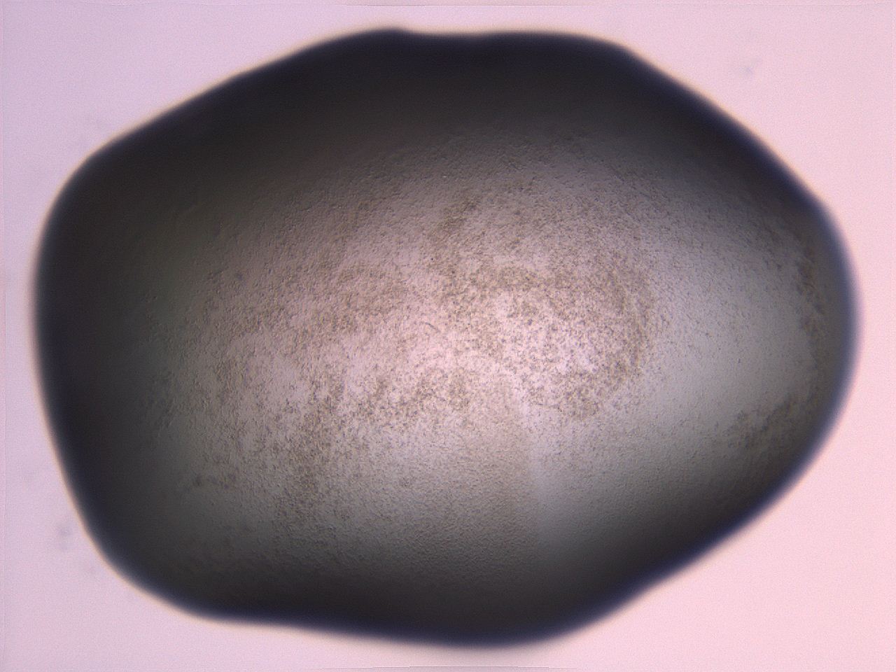 06eb_H6_ImagerDefaults_3.jpg