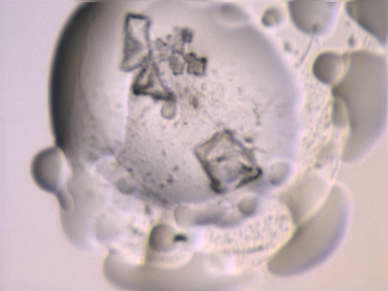 06eb_H10_ImagerDefaults_3.jpg