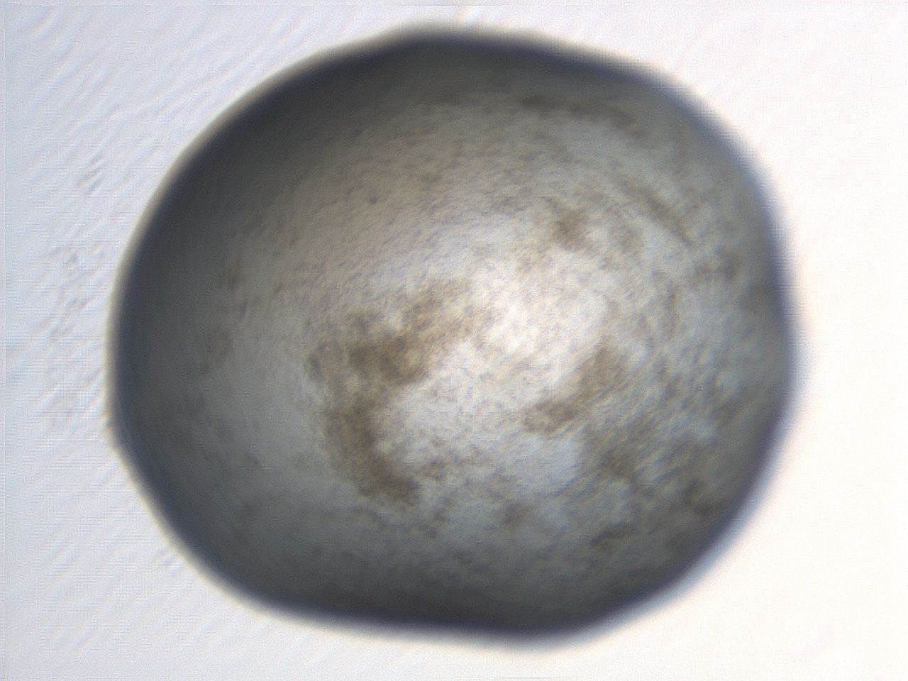 06eb_H12_ImagerDefaults_3.jpg