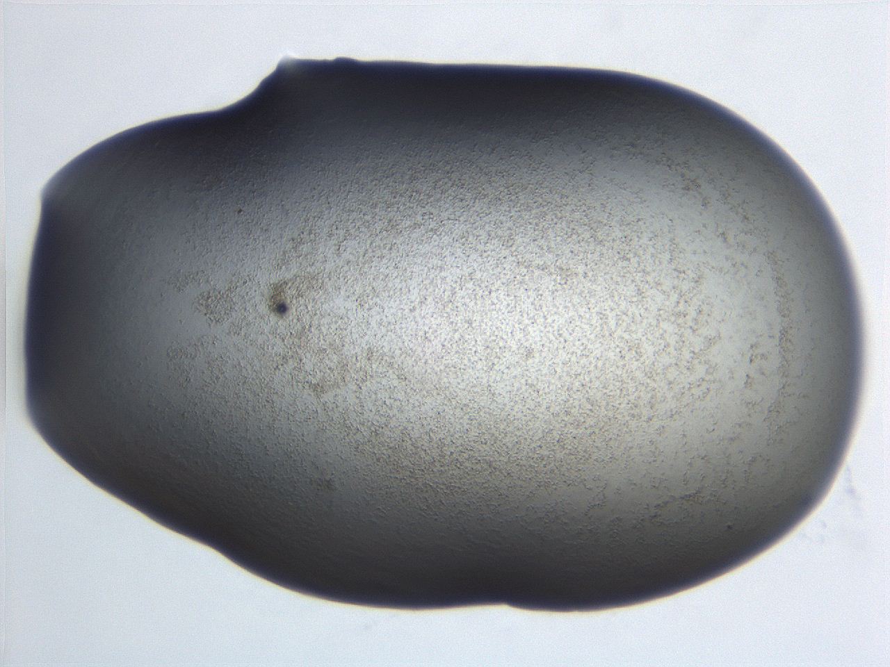 06ec_E6_ImagerDefaults_3.jpg