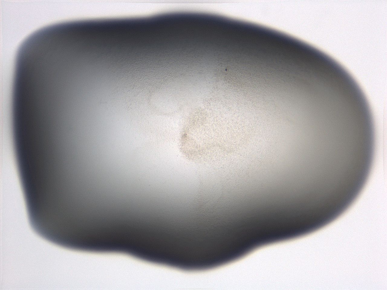 06ec_A12_ImagerDefaults_3.jpg