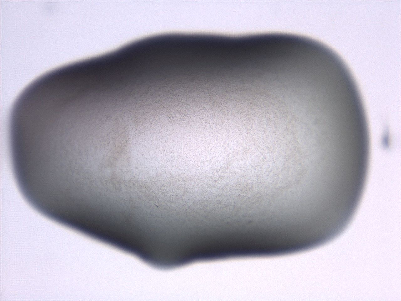 06ec_B1_ImagerDefaults_3.jpg