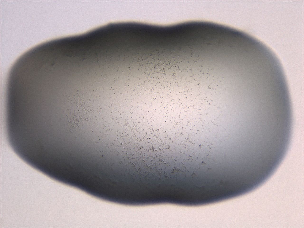 06ec_B6_ImagerDefaults_3.jpg