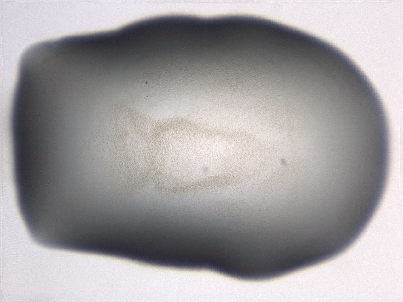 06ec_B7_ImagerDefaults_3.jpg