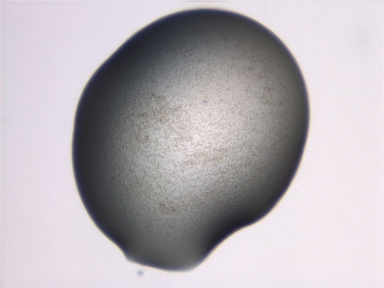 06ec_D4_ImagerDefaults_3.jpg