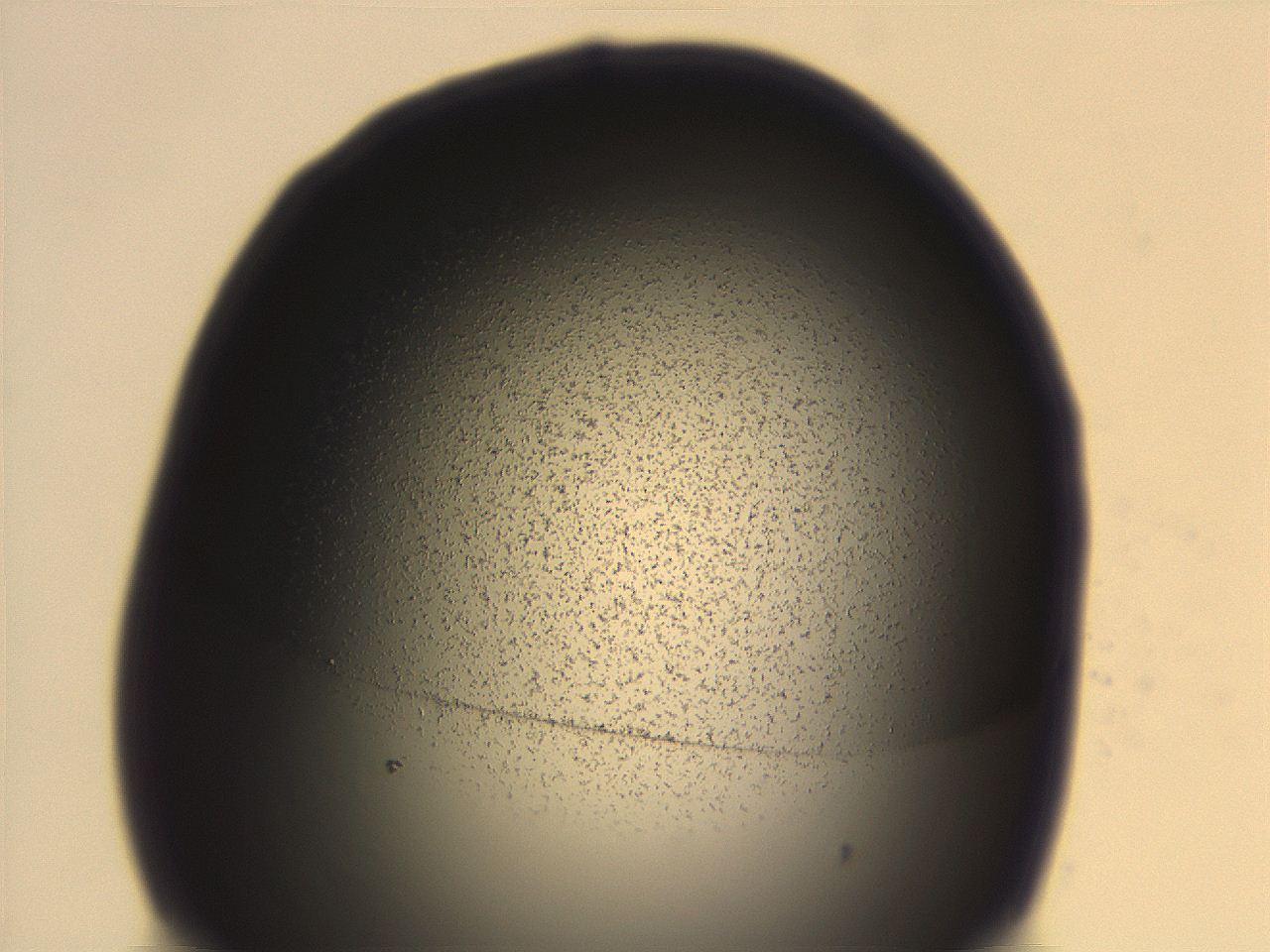 06ec_E1_ImagerDefaults_3.jpg