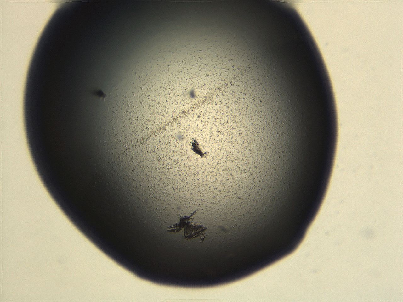 06ec_E2_ImagerDefaults_3.jpg
