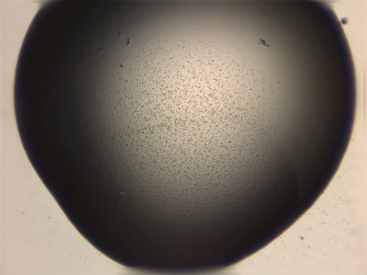 06ec_E4_ImagerDefaults_3.jpg