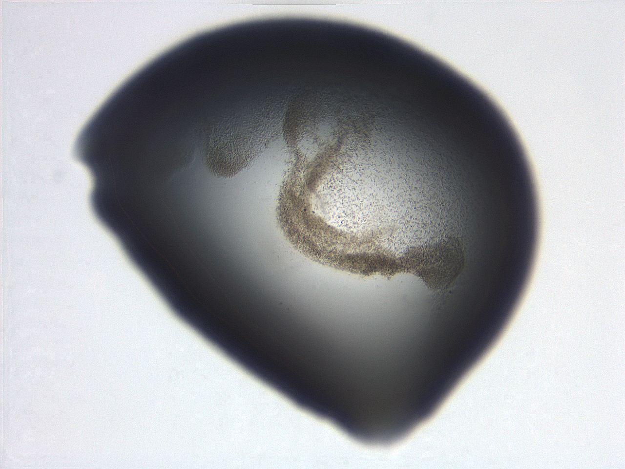 06ec_C1_ImagerDefaults_3.jpg