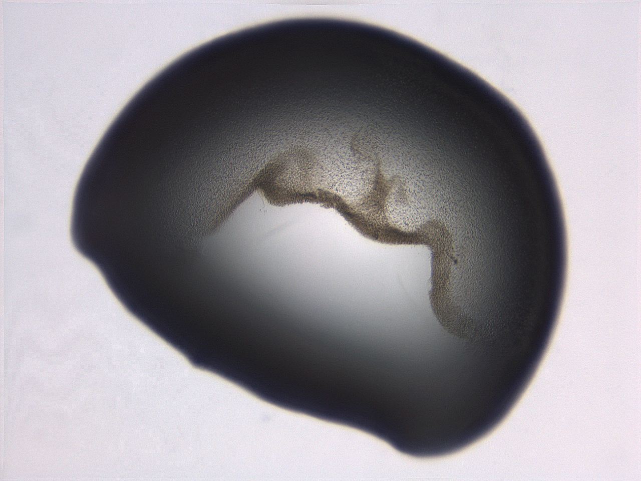 06ec_C3_ImagerDefaults_3.jpg