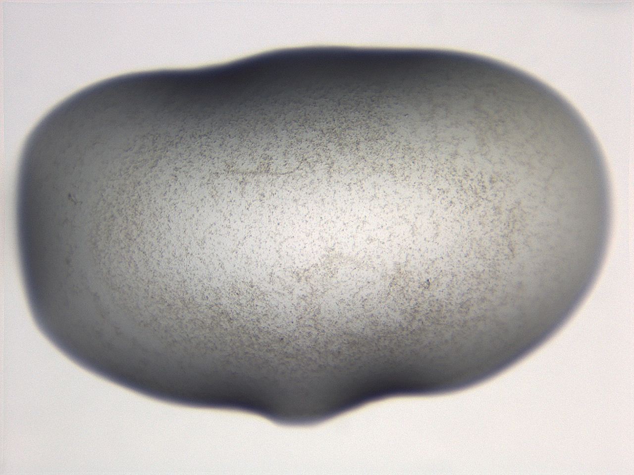 06ec_C4_ImagerDefaults_3.jpg