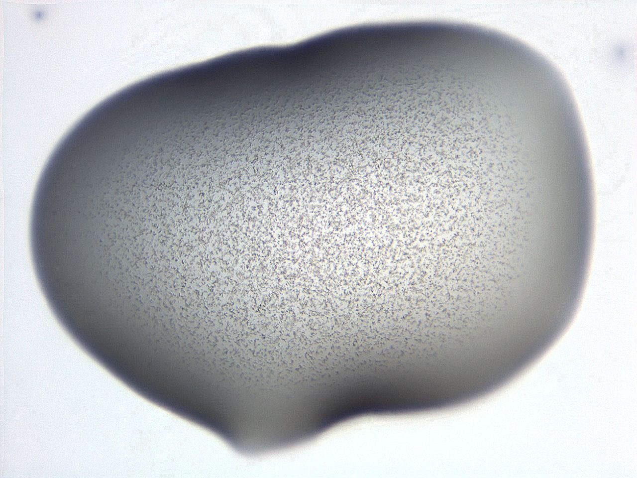 06ec_C5_ImagerDefaults_3.jpg