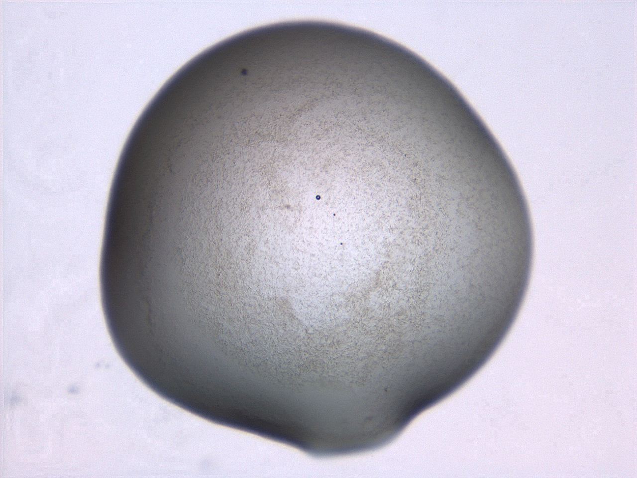 06ec_C6_ImagerDefaults_3.jpg