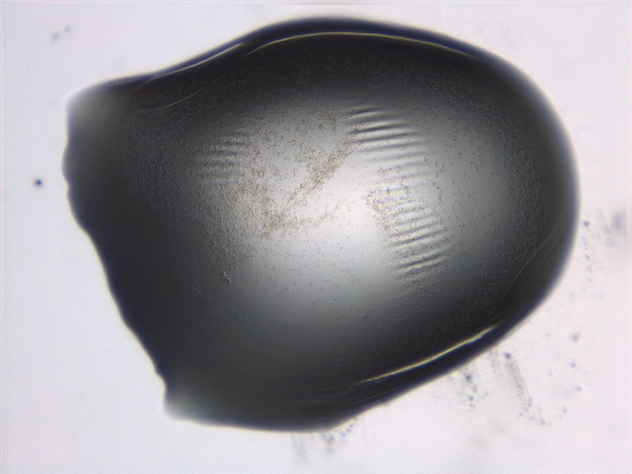 06ec_C7_ImagerDefaults_3.jpg