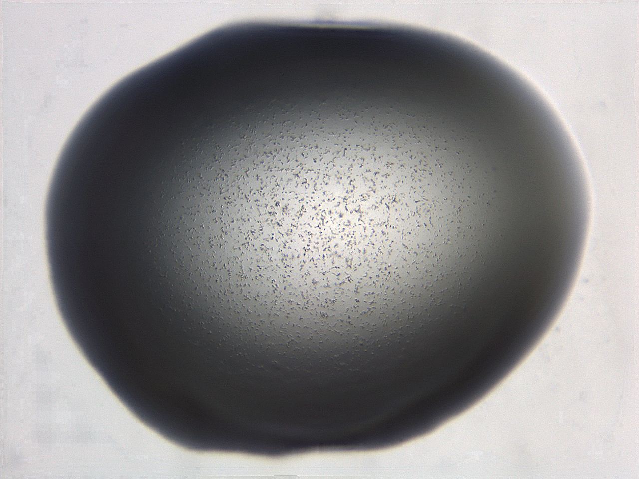 06ec_C9_ImagerDefaults_3.jpg