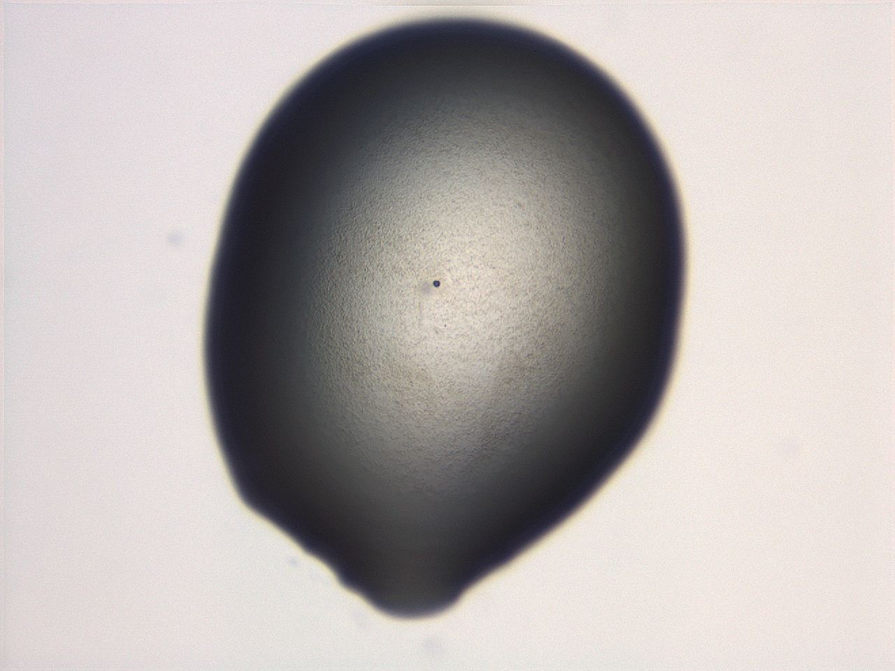 06ec_D9_ImagerDefaults_3.jpg