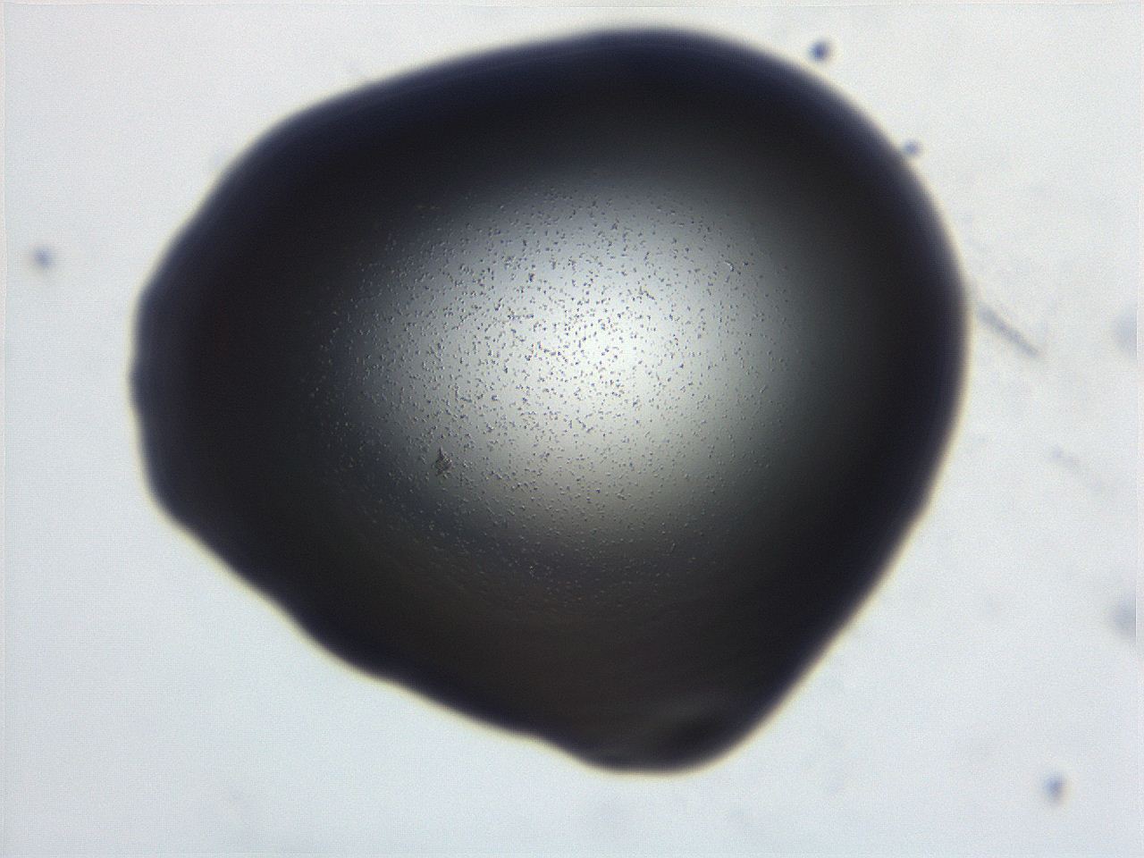 06ec_D10_ImagerDefaults_3.jpg