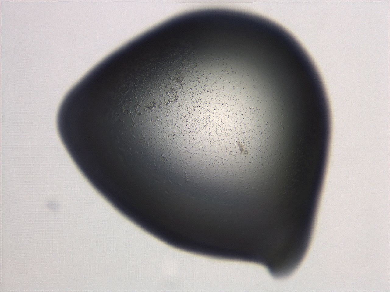 06ec_D11_ImagerDefaults_3.jpg