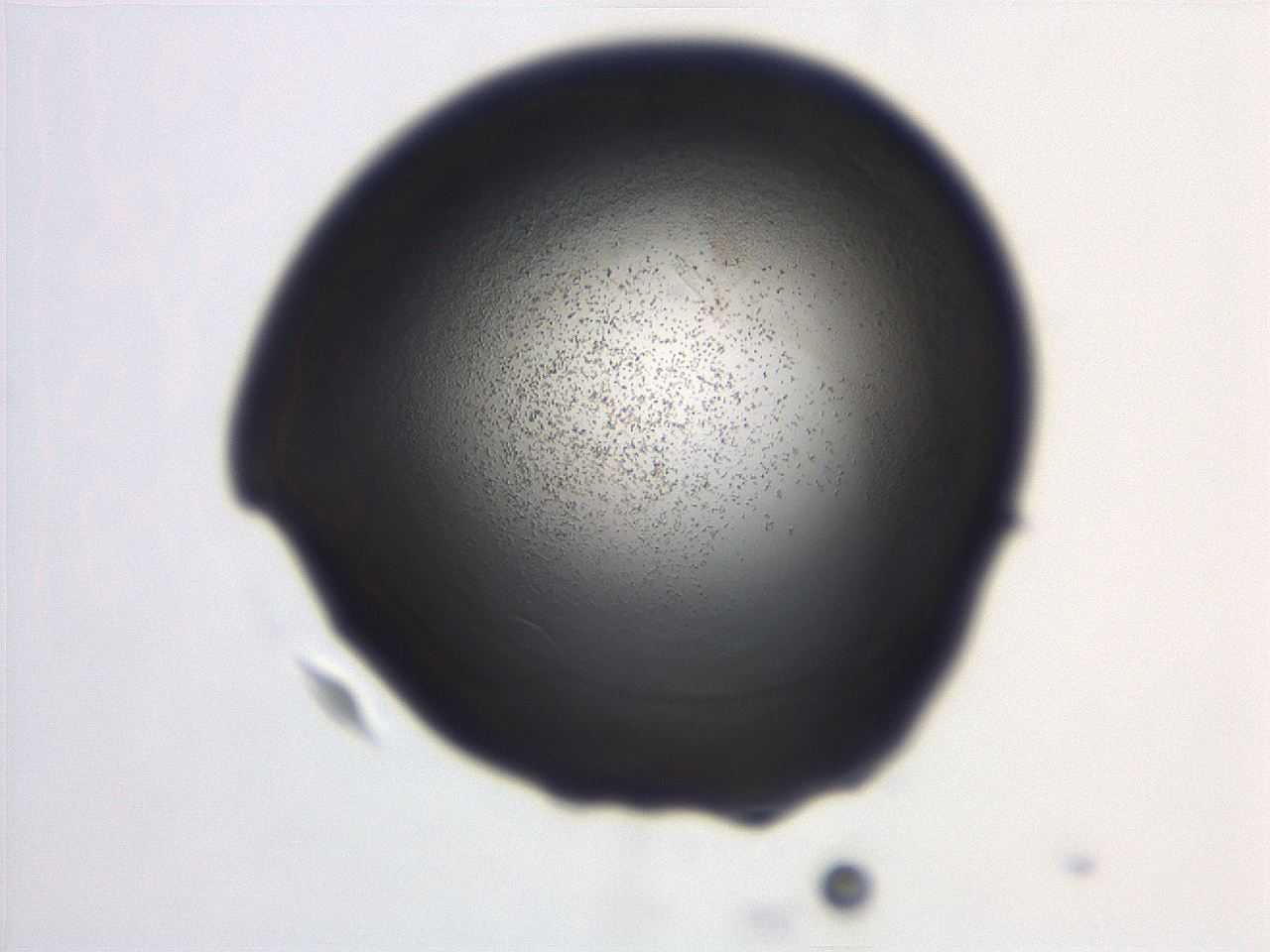 06ec_D12_ImagerDefaults_3.jpg