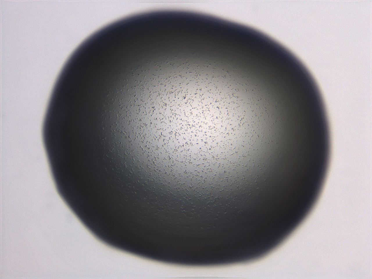 06ec_E11_ImagerDefaults_0.jpg