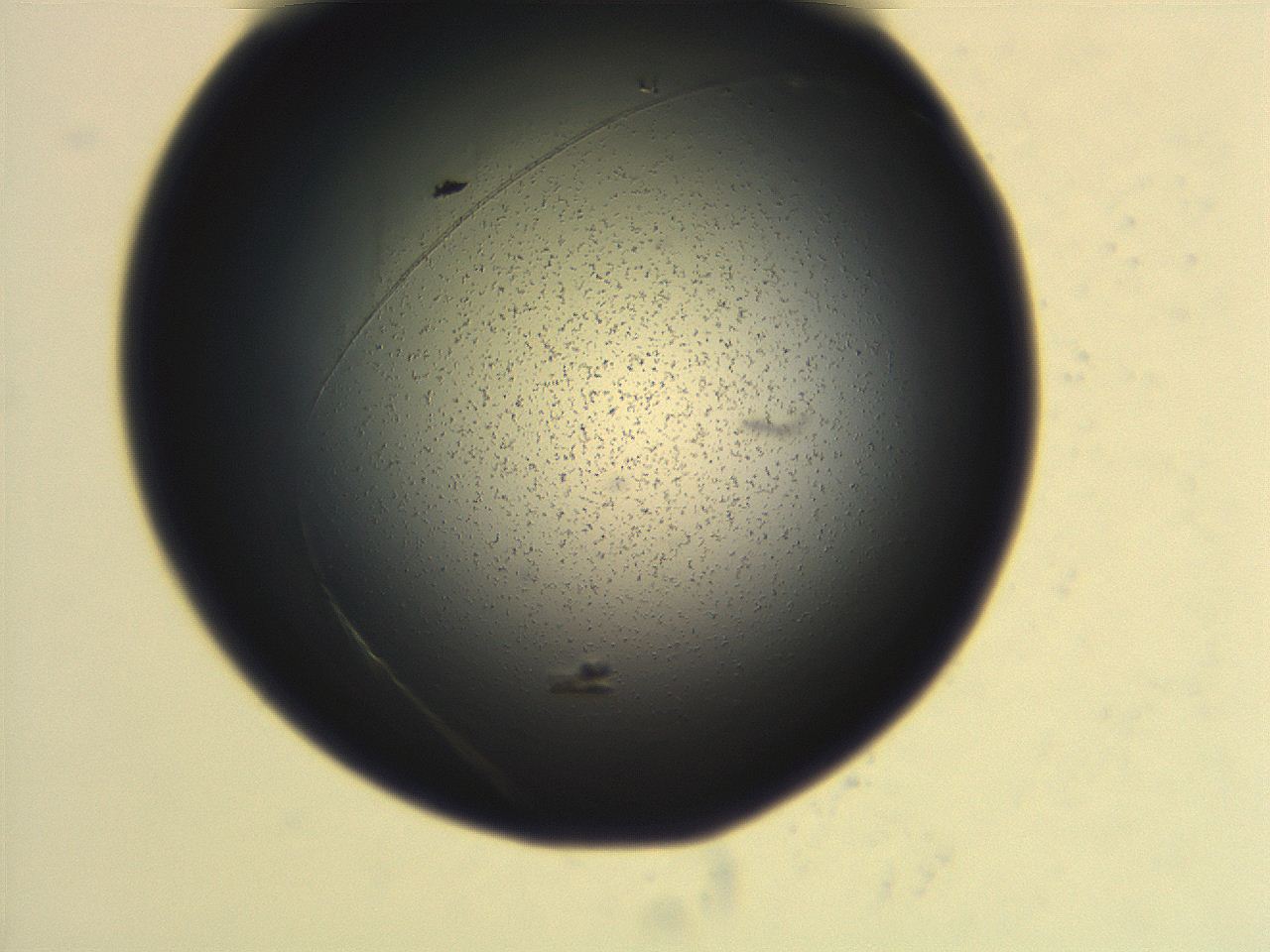 06ec_F2_ImagerDefaults_3.jpg