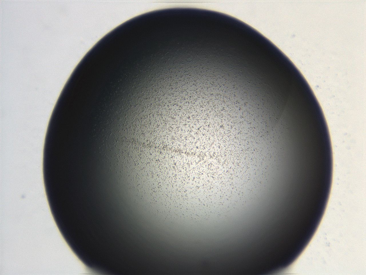 06ec_F4_ImagerDefaults_3.jpg