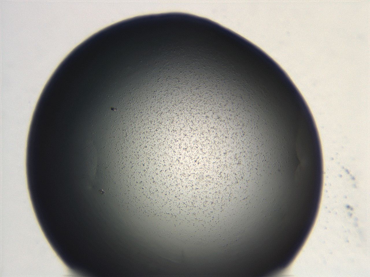 06ec_F5_ImagerDefaults_3.jpg