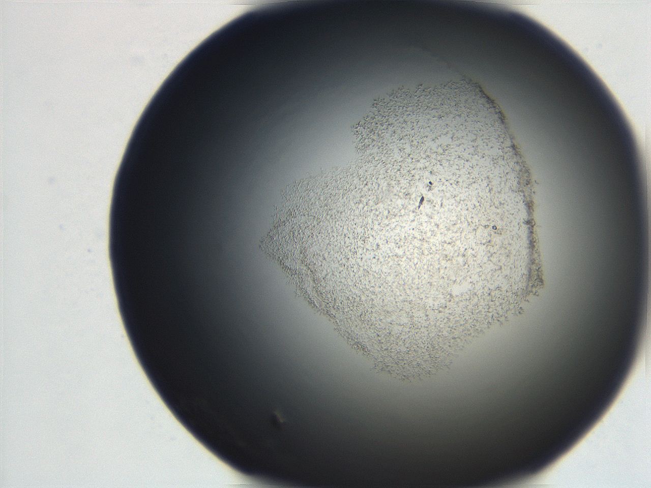 06ec_F6_ImagerDefaults_3.jpg
