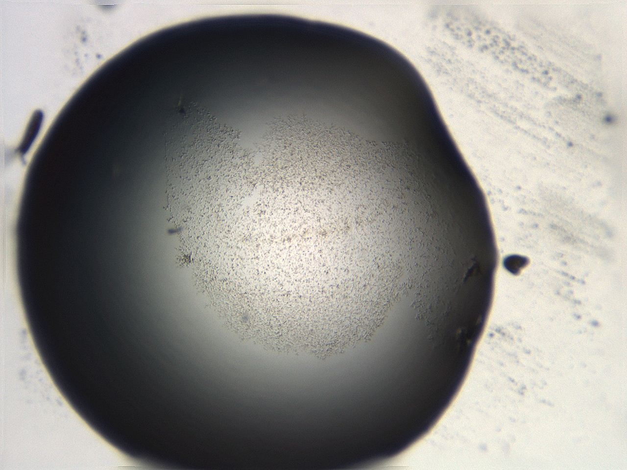 06ec_F8_ImagerDefaults_3.jpg