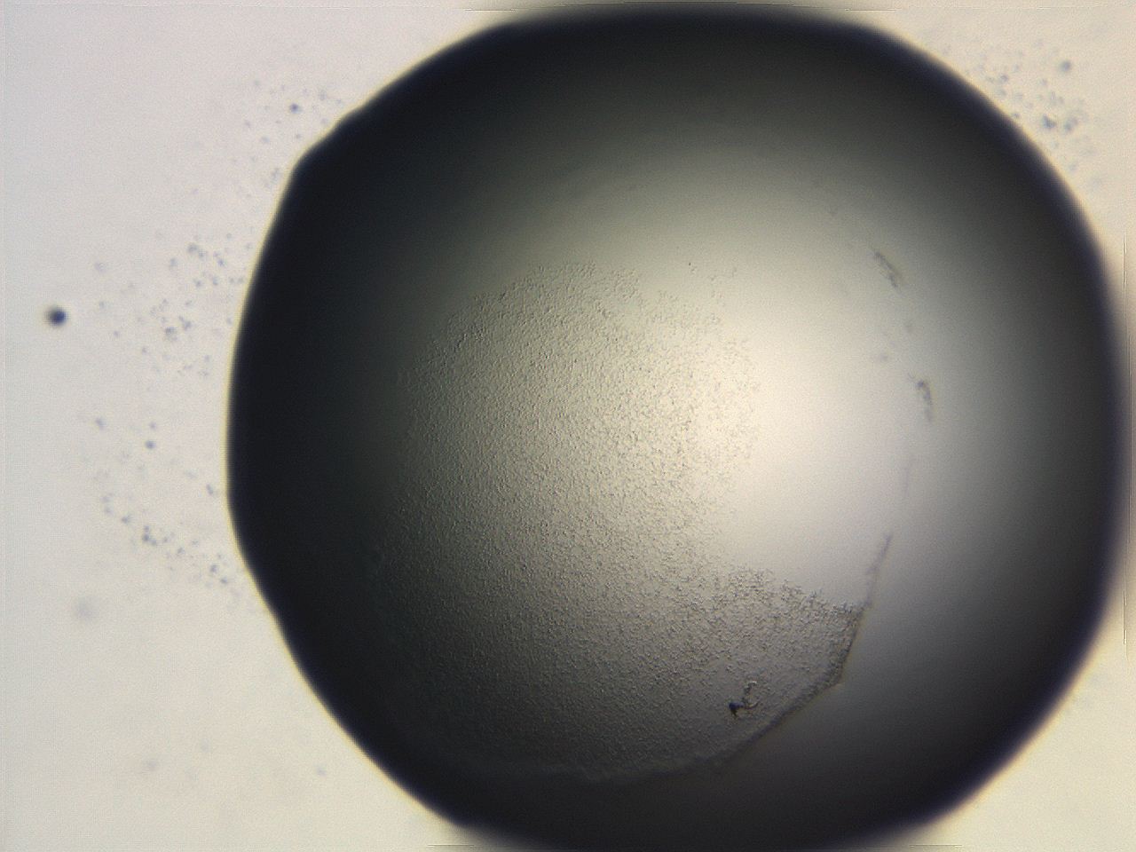 06ec_F9_ImagerDefaults_3.jpg