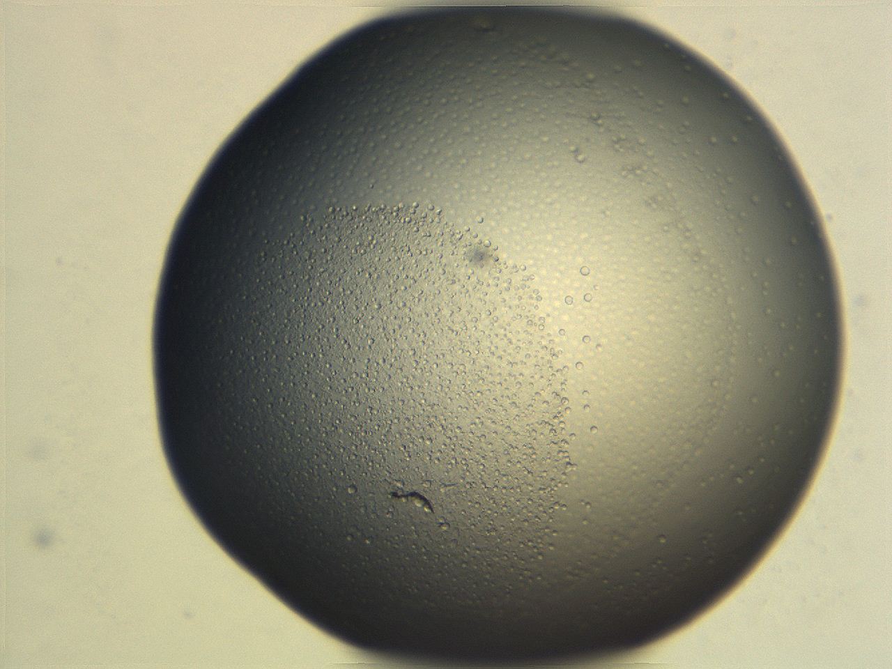 06ec_F10_ImagerDefaults_3.jpg
