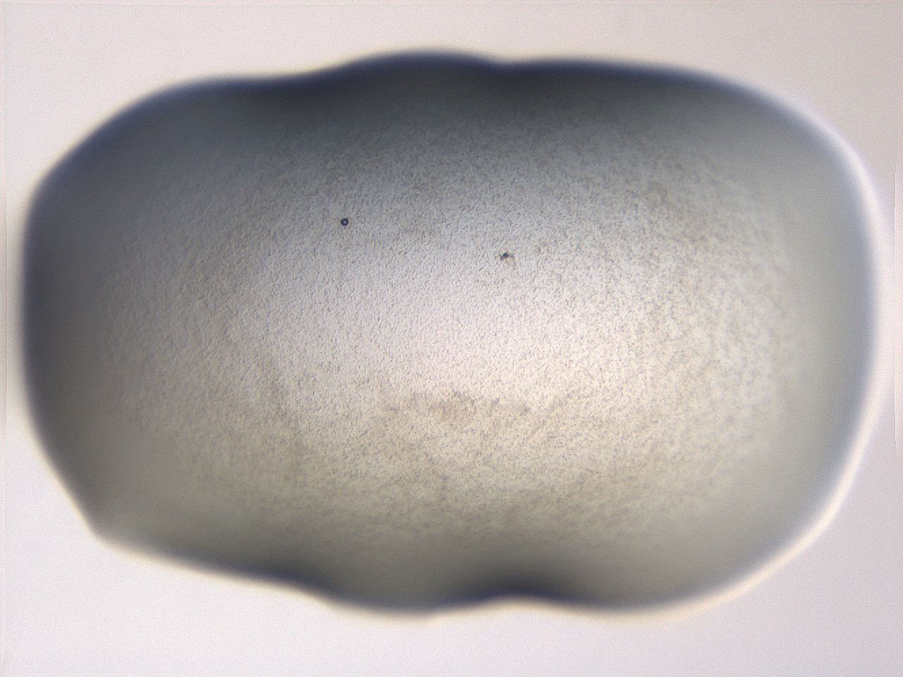 06ec_A1_ImagerDefaults_3.jpg
