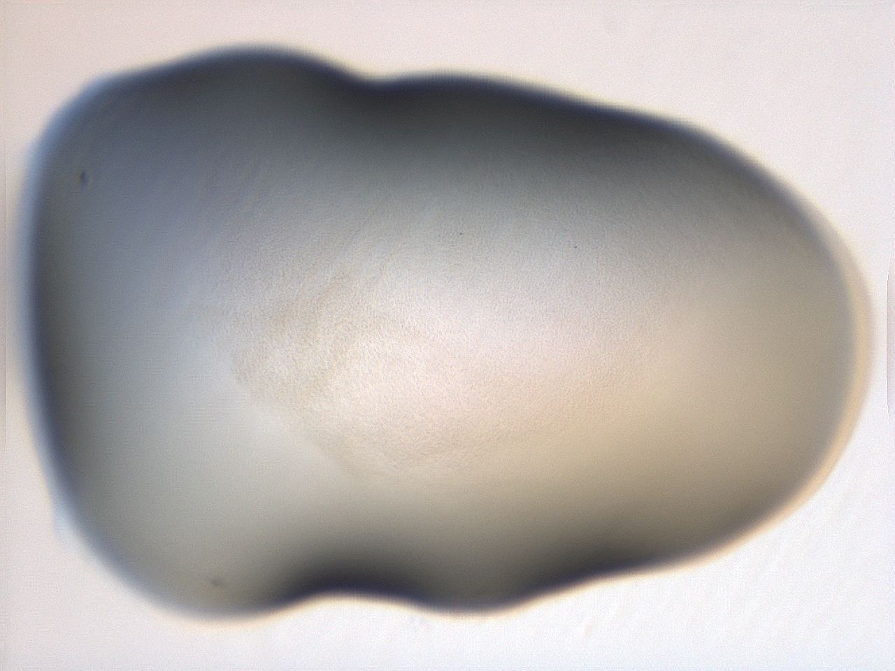 06ec_A2_ImagerDefaults_3.jpg