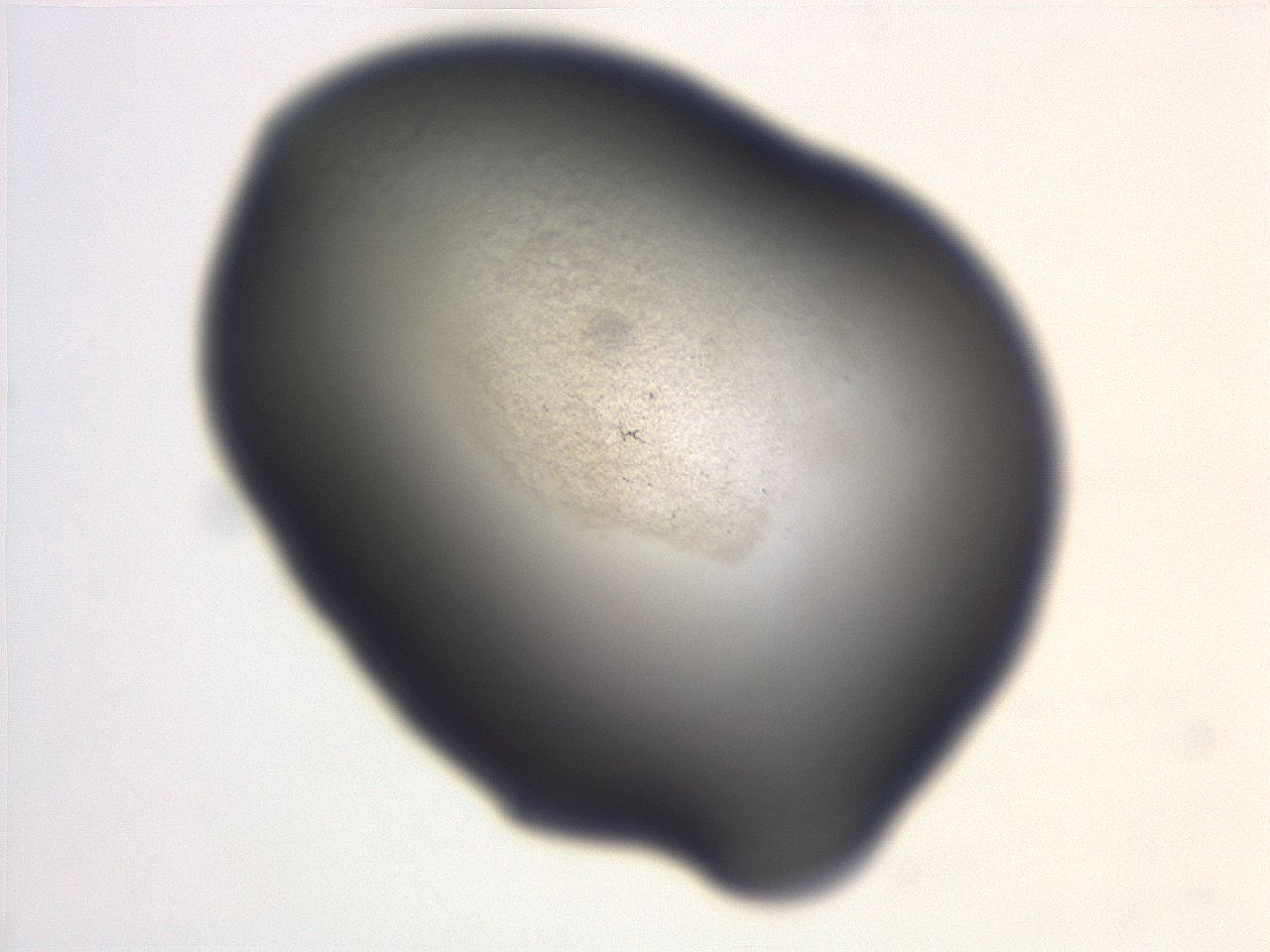 06ec_F12_ImagerDefaults_3.jpg