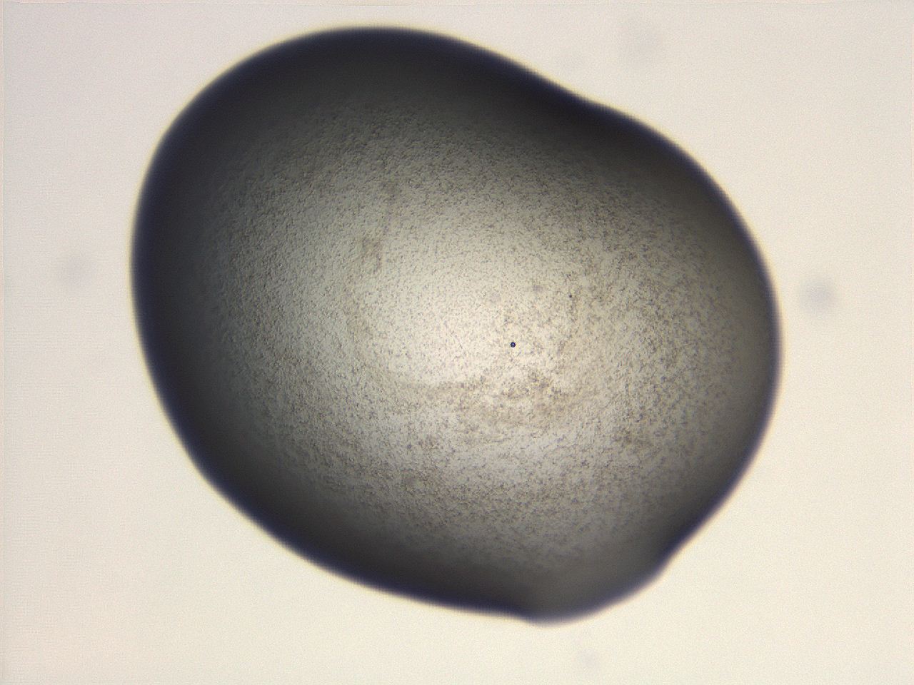 06ec_G1_ImagerDefaults_3.jpg