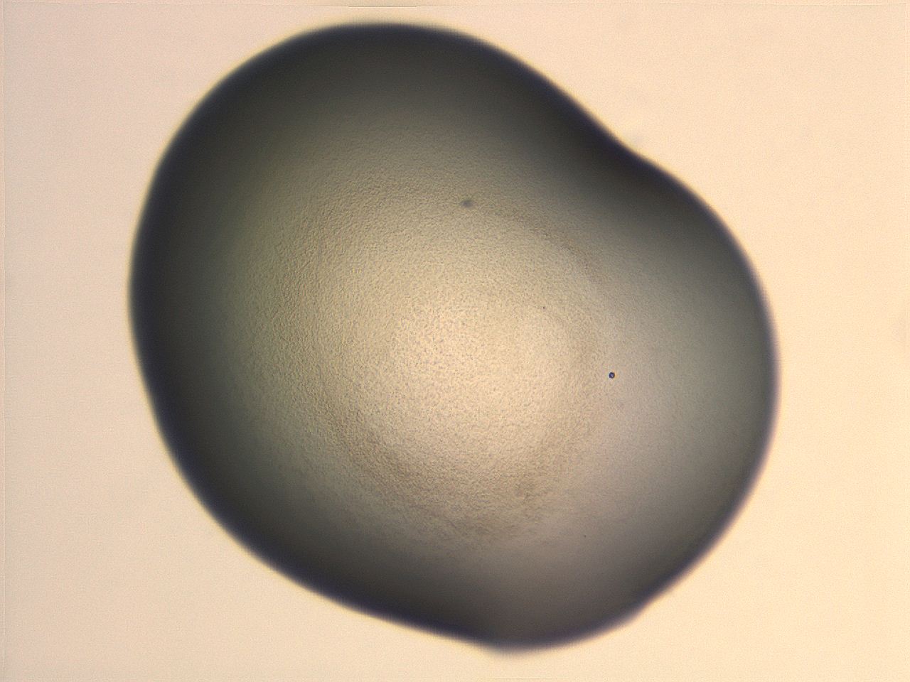 06ec_G2_ImagerDefaults_3.jpg