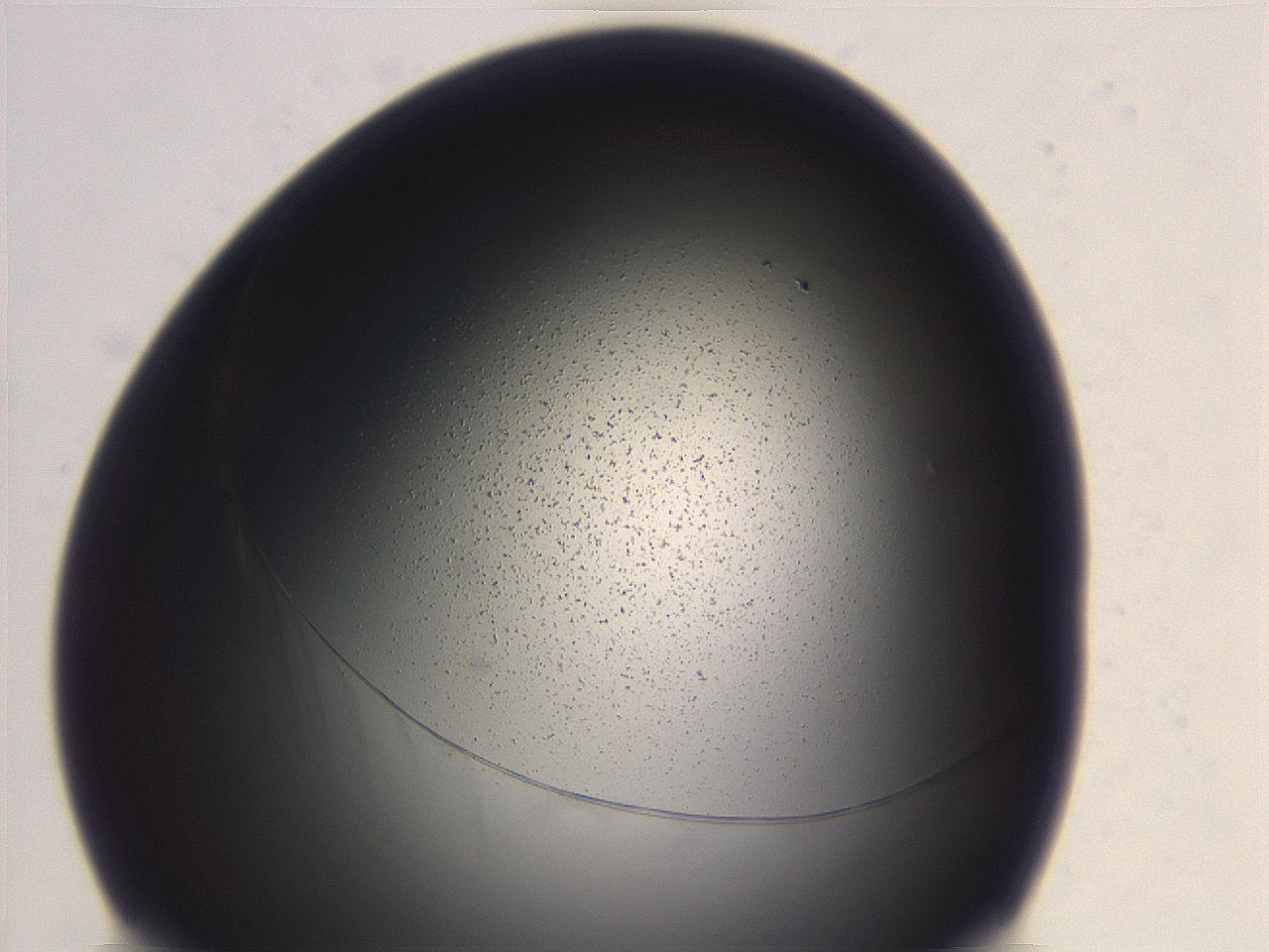 06ec_G9_ImagerDefaults_3.jpg
