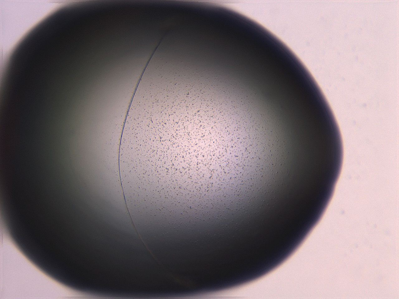 06ec_G10_ImagerDefaults_3.jpg