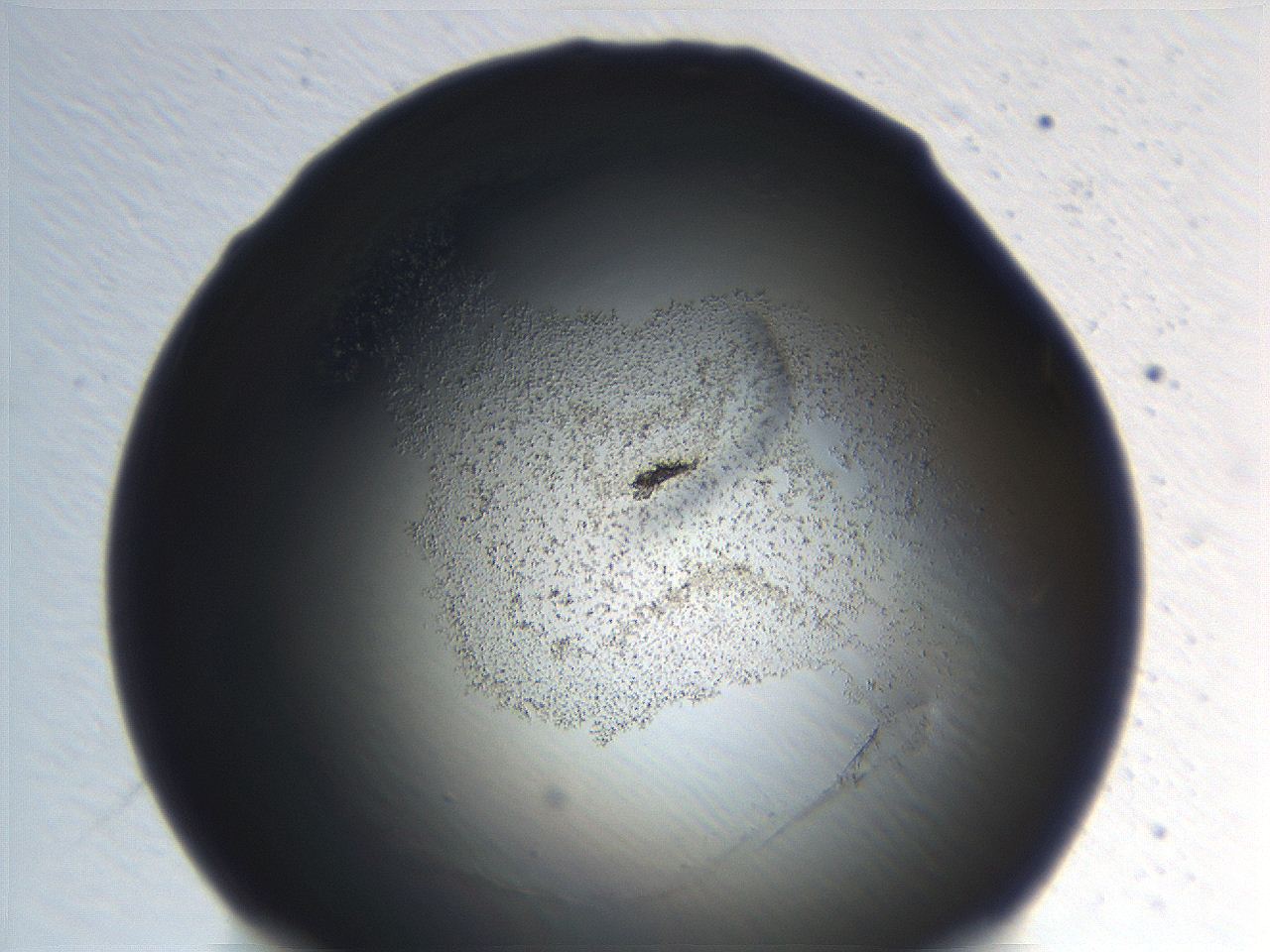 06ec_H1_ImagerDefaults_3.jpg