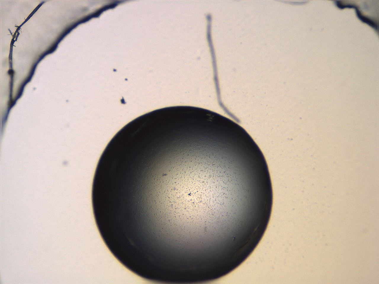 06ec_H2_ImagerDefaults_3.jpg