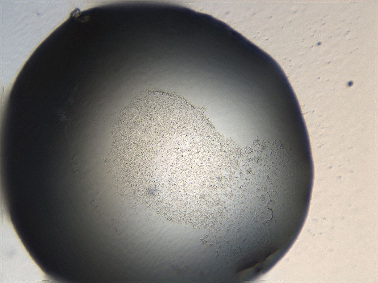06ec_H4_ImagerDefaults_3.jpg