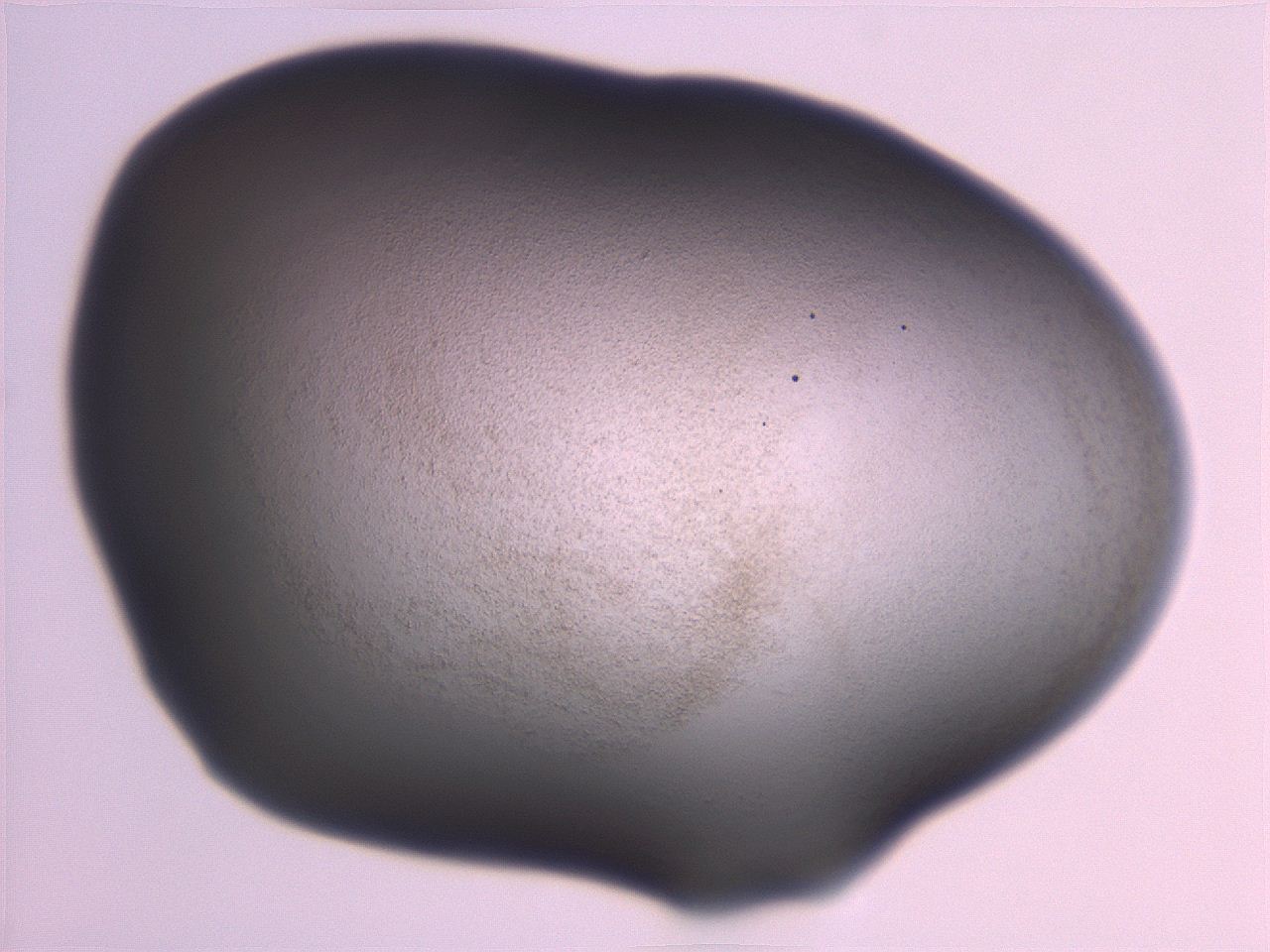 06ec_H6_ImagerDefaults_3.jpg