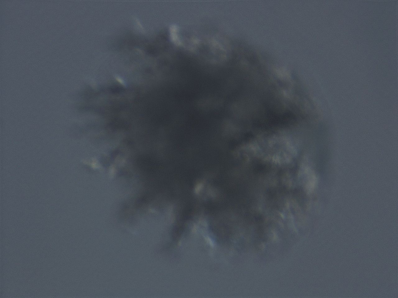 06ec_H12_ImagerDefaults_3.jpg