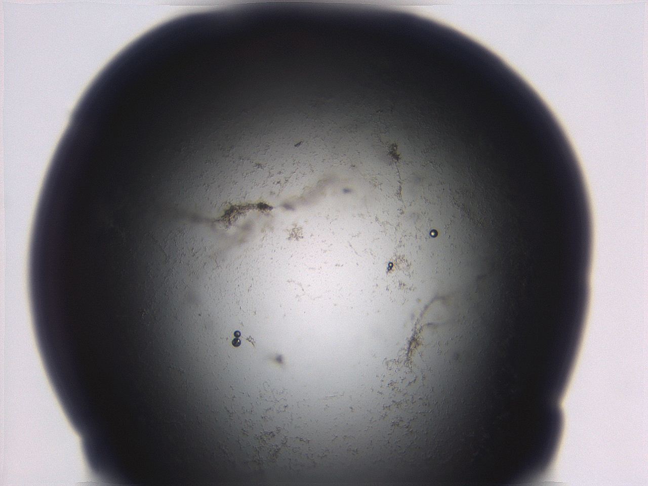 06ed_C3_ImagerDefaults_3.jpg