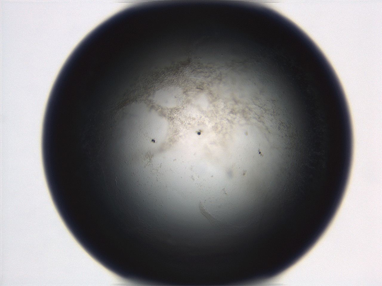 06ed_C7_ImagerDefaults_3.jpg