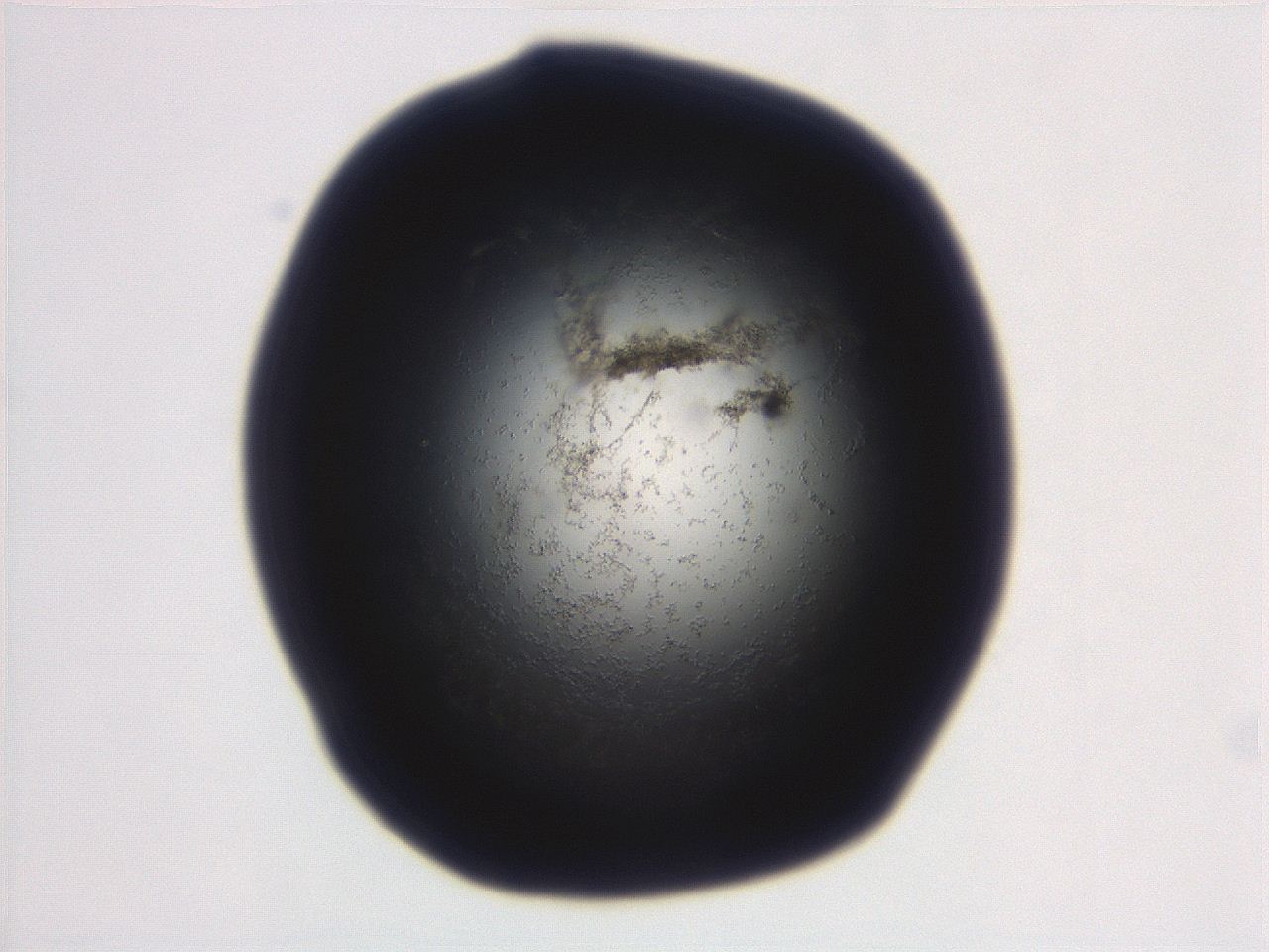 06ed_C9_ImagerDefaults_3.jpg