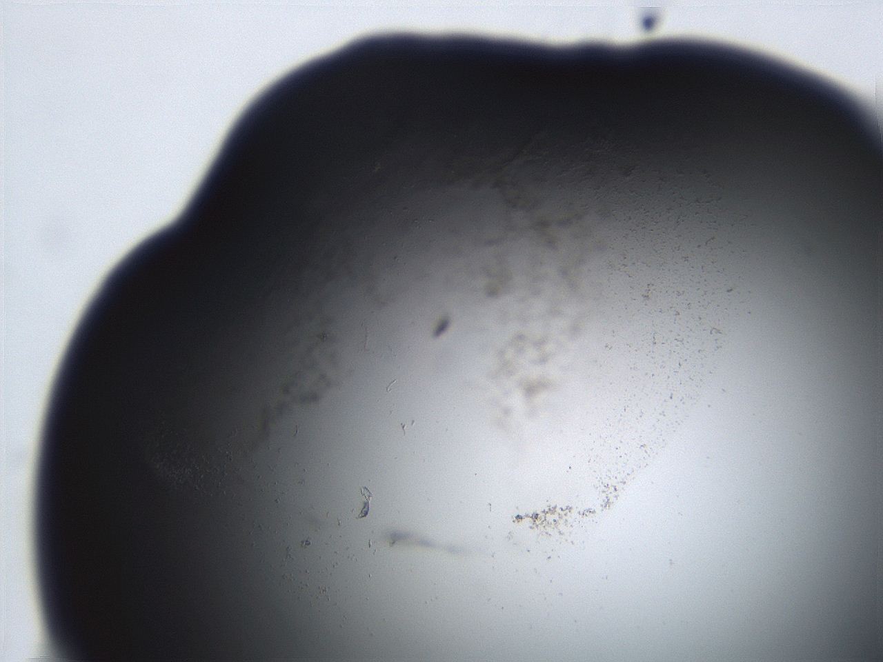 06ed_C10_ImagerDefaults_3.jpg