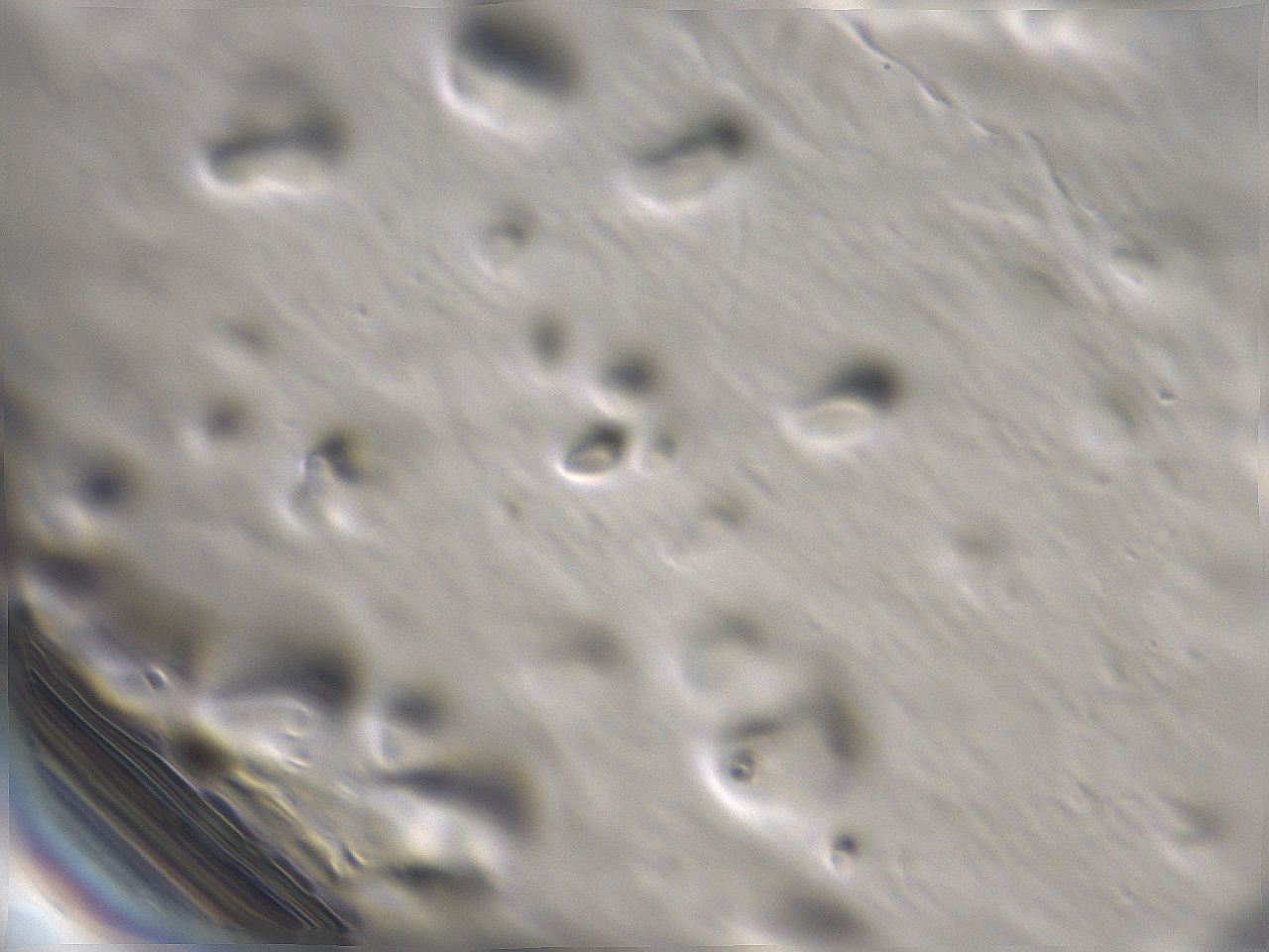 06ed_A10_ImagerDefaults_m.jpg