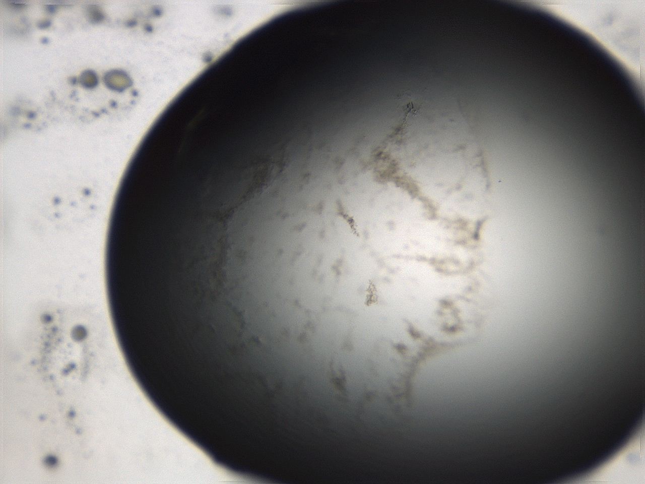 06ed_A11_ImagerDefaults_3.jpg