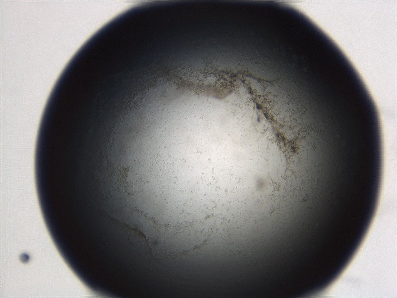 06ed_A12_ImagerDefaults_3.jpg